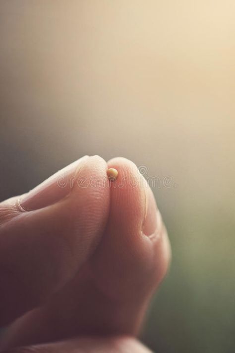 Mustard seed and fingertips. Tiny mustard seed in between two fingertips #Sponsored , #Paid, #AFFILIATE, #seed, #Tiny, #fingertips, #Mustard Quran Pics, Iron Man Hd Wallpaper, Jesus Background, Mustard Seed Faith, The Tiny Seed, Powerful Pictures, Bible Journaling Ideas Drawings, Bible Journal Notes, Bible Images