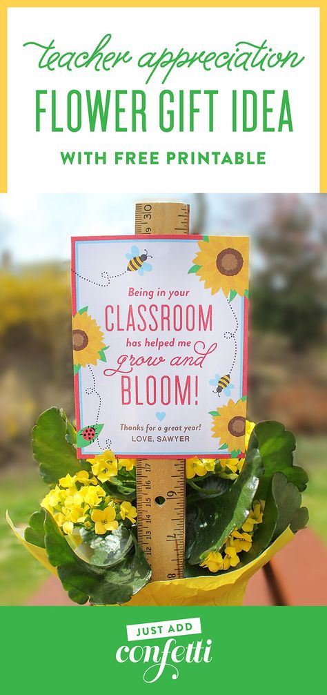 "Bloom in your Classroom" Flower Teacher Gift Idea, teacher appreciation, flower gift, free printable, teacher gift, flower for teacher, Just Add Confetti, Just Add Confetti printable, Being in your classroom has helped me grow and bloom, grow and bloom, bloom in your classroom, end of the school year gift, spring gift, spring flower Flower Teacher Gift, Teachers Appreciation Week Gifts, Teacher End Of Year, Appreciation Gifts Diy, Unique Teachers Gift, Teacher Appreciation Gifts Diy, Teacher Gift Tags, Teachers Diy, Flower Gift Ideas