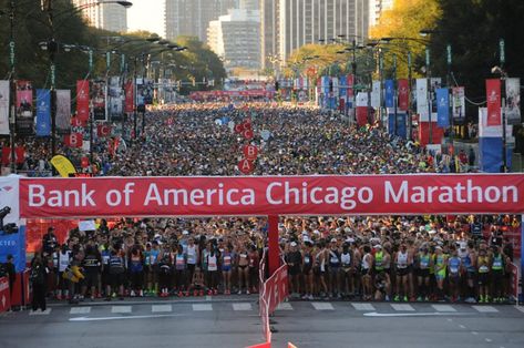 Chicago Marathon Aesthetic, Peninsula Chicago, Greek Town, Berlin Marathon, Marathon Tips, Chicago Marathon, Nyc Marathon, City Marathon, Marathon Training Plan