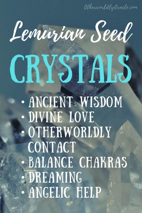 Crystal Seashells, Lemurian Crystal, Lemurian Quartz, Crystal Guide, Spiritual Crystals, Crystal Therapy, Meditation Crystals, Crystal Healing Stones, Crystal Magic