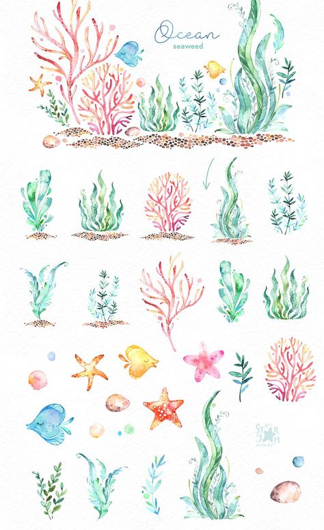 Ocean. Underwater collection. by StarJam on @creativemarket Rasy Koni, Trendy Plants, Watercolor Plants, 수채화 그림, Plant Painting, Plant Drawing, Watercolor Inspiration, Water Plants, Bullet Journaling