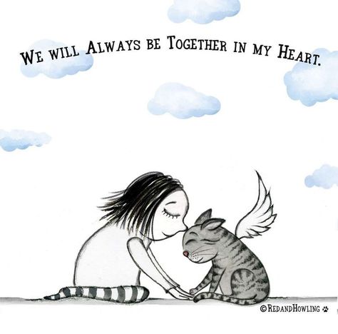 Gato Angel, I Miss My Cat, Pet Remembrance, Angel Cat, Jack Kirby, Cat Memorial, Cat Quotes, Animal Quotes, Pet Loss