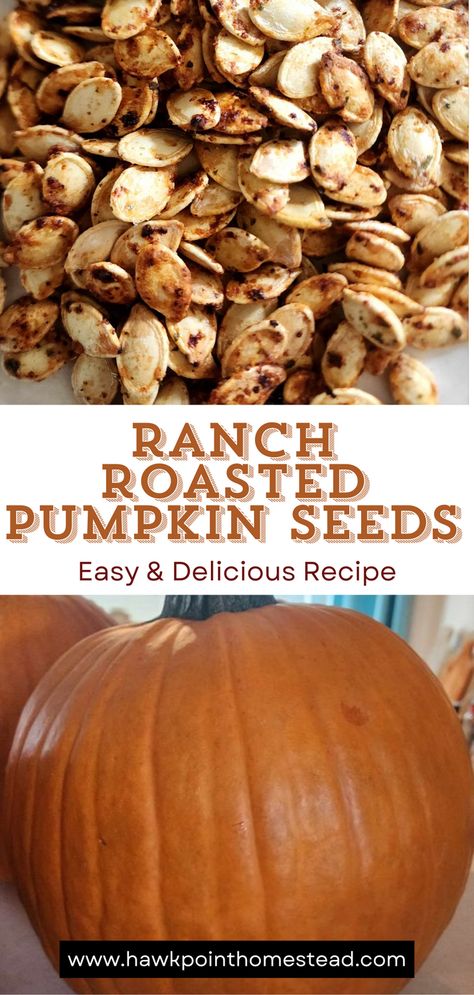 Enjoy these delicious crunchy pumpkin seeds with the wonderful flavor of ranch. Pumpkin seeds are a healthy and satisfying snack that are so easy to make!  Making pumpkin seeds is a fun activity to do with kids! Especially trying different flavors. Plus you can put those pumpkin seeds left over after carving your fall pumpkins to great use! Oven Roasted Pumpkin Seeds Recipe, Pumpkin Seed Recipe Baked, Pumpkin Seeds Recipe Worcestershire, Drying Pumpkin Seeds For Eating, Ranch Pumpkin Seeds Recipe, Pumpkin Carving Snacks, Pumpkin Seeds Recipe Roasted, Cute Easy Pumpkin Carving, Ranch Pumpkin Seeds