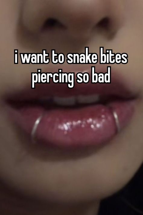 Snakebites Aesthetic, Different Piercings Face, Snake Bites Piercing Aesthetic, Snake Bites Lip Piercing, Cute Facial Piercings, Snakebite Piercing, Spider Bites Piercing, Snake Bites Piercing, Dream Piercings