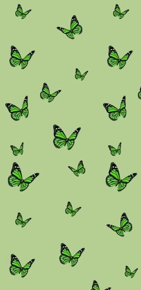 Green Butterfly Wallpaper, Green Butterflies, Green Butterfly, Butterfly Wallpaper, Aesthetic Wallpaper, Wallpaper Iphone, Sage Green, Light Green, Butterflies