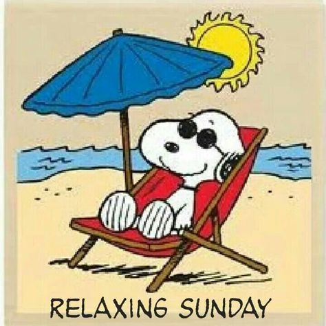 Are'nt Sundays great! Gifs Snoopy, Shabbat Shalom Images, Hello Kitty Imagenes, Lucy Van Pelt, Snoopy Cartoon, Hello July, Snoopy Funny, Peanuts Cartoon, Charlie Brown Snoopy