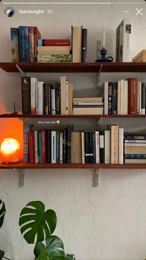 Bookshelf Bedroom Aesthetic, Shelves Aesthetic Bedroom, Eclectic Shelf Decor, Bookshelf Apartment, Book Shelves Aesthetic, Uni Room, Dream Apartment, House Room, Apartment Inspiration