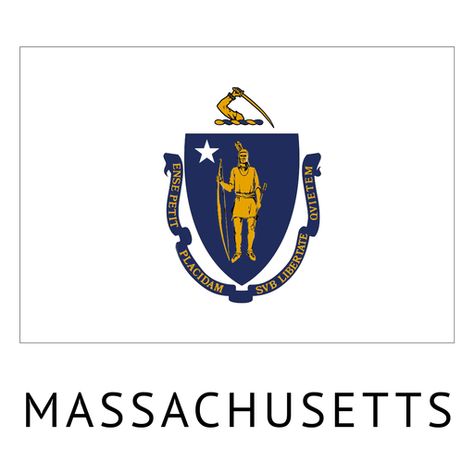 Massachusetts state flag #AD , #AD, #AFFILIATE, #flag, #state, #Massachusetts Massachusetts Flag, American State Flags, State Project, Central Logo, Modern Art Canvas Painting, Flag Png, Canvas Painting Landscape, Shirt Maker, State Flags