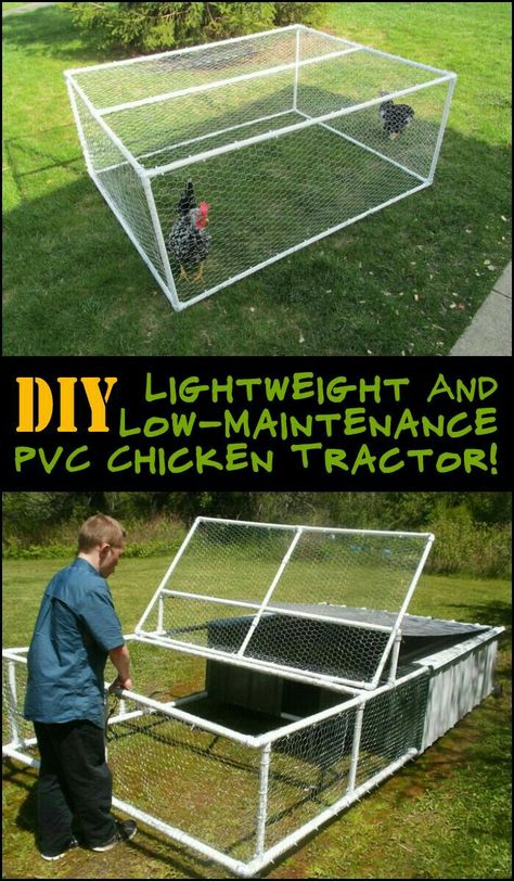 Pvc Chicken Tractor, Easy Chicken Coop, Portable Chicken Coop, Backyard Chicken Coop Plans, Chicken Pen, Chicken Tractors, Diy Chicken Coop Plans, Chicken Coop Run, Backyard Chicken Farming