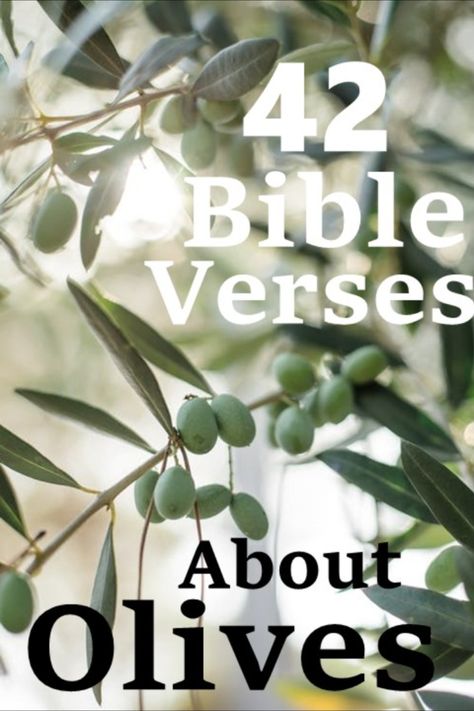 Olive Tree Quotes, Olive Branch Bible Verse, Olive Oil Quotes, Olive Branch Meaning, Olive Quotes, Tree Favors, Leaf Quotes, Short Bible Verses, Tree Quotes