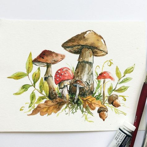 Mushrooms Forest, Forest Fall, Fungi Art, Fall Drawings, Mushroom Paint, Octopus Wall Art, Fall Stuff, Watercolor Journal, Watercolor Projects