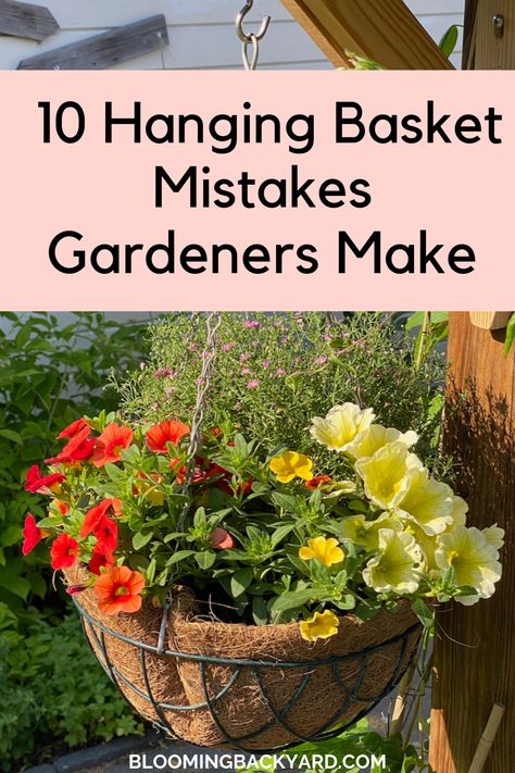 10 Hanging Basket Mistakes Too Many Gardeners Make Perennial Hanging Baskets, Wire Hanging Basket Ideas, Plants For Hanging Baskets Outdoor, Hanging Baskets Ideas, Macrame Hanging Plants, Petunia Hanging Baskets, Hanging Baskets Diy, Hanging Greenery, Basket Garden