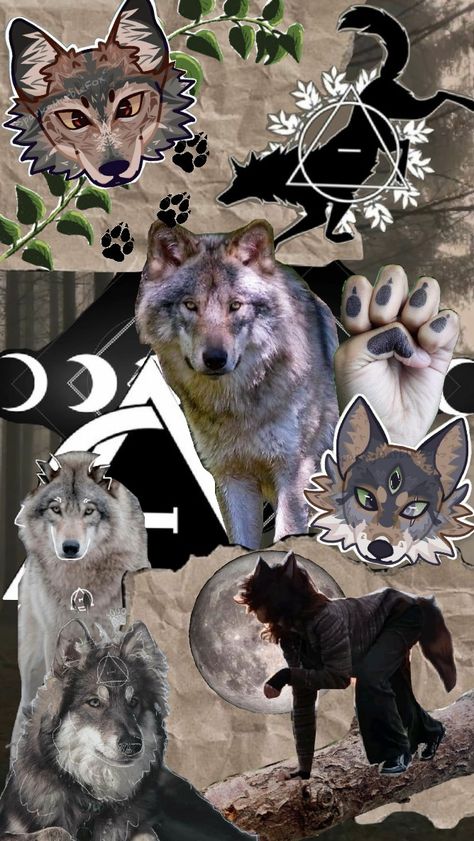 therian wolf wallpaper :3 Therian Wolf, White Coyote, Felt Animal Masks, Wolf People, Cute Animal Quotes, Cute Laptop Wallpaper, Wolf Wallpaper, Animal Masks, Scary Art