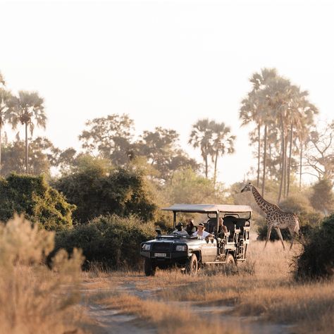 Is a #safari on your bucket list? Look no further than the wildlife wonders of #Botswana. "Within minutes of taking off from Maun, the tourism capital of Botswana, I’ve already spotted elephants, hippos, zebras, buffalos and giraffes from the plane window. Having contorted my body into one of only 12 seats aboard, it’s a thrilling start to my weeklong air-hopping safari." Continue reading about the wonders of this African nation as #DanikaPorter recounts her adventure via the #linkinbio. 📷... Botswana Culture, Botswana Photography, Botswana Travel, Plane Window, Okavango Delta, Foreign Travel, Luxury Lodge, House Luxury, Masai Mara