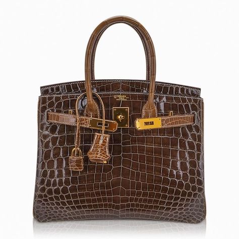 Brown Birkin Bag, Brown Birkin, Birkin Crocodile, Birken Bag, Crocodile Bags, Hermes Birkin 30, Luxury Purses, Hermes Handbags, Pretty Bags