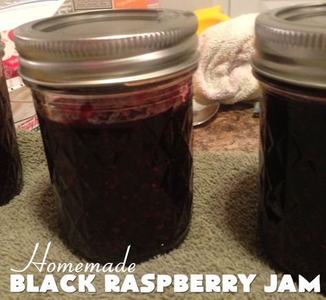 Black Raspberry Jam Recipe, Garden Preservation, Black Raspberry Recipes, Black Raspberry Jam, Raspberry Jam Recipe, Making Jam, Black Raspberries, Canning Jams, Jennifer Brown