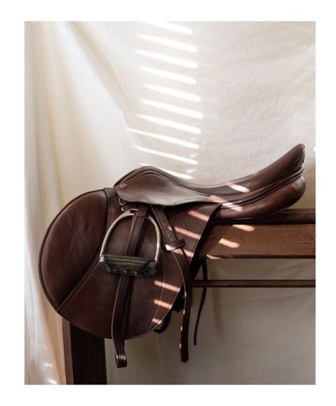 Hunter jumper riding saddle on a tree in front of a white backdrop with dramatic linear lighting. Equestrian Product Photography, Horse Product Photography, English Equestrian Aesthetic, Equine Aesthetic, Horse Branding, Saddle Photography, English Horseback Riding, Aesthetic Equestrian, Horse Girl Aesthetic