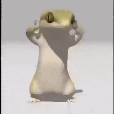 Dancing Gifs Funny, Cursed Gif, Dancing Lizard, Lizard Meme, Dancing Meme, Dance Meme, Funny Lizards, Cute Lizard, Meme Gif