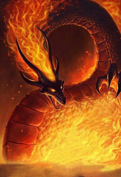 Fire Snake Fantasy Art, Medieval Dragons, Fire Snake, Logo Dragon, Types Of Dragons, Medieval Dragon, Fantasy Horror, Alien Concept, Knight Art