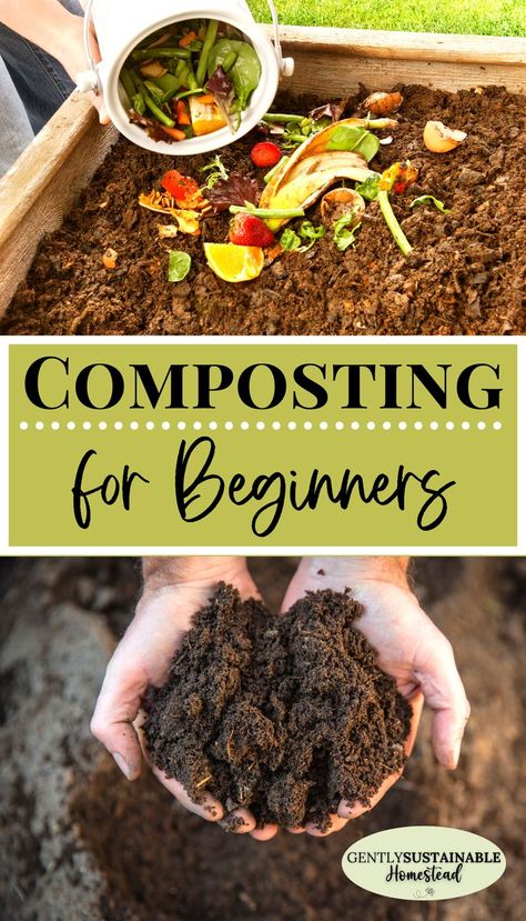 Composting For Beginners, Homemade Compost, Compost Bin Diy, Compost Pile, Diy Compost, How To Make Compost, Composting At Home, Organic Garden, Home Vegetable Garden