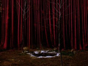 The entrance to the Black Lodge, surrounded by Sycamore Trees. *Twin Peaks Twin Peaks 2017, Twin Peaks 1990, Twin Peaks Art, White Lodge, Dale Cooper, Project Blue Book, Mulholland Drive, Black Lodge, Laura Palmer