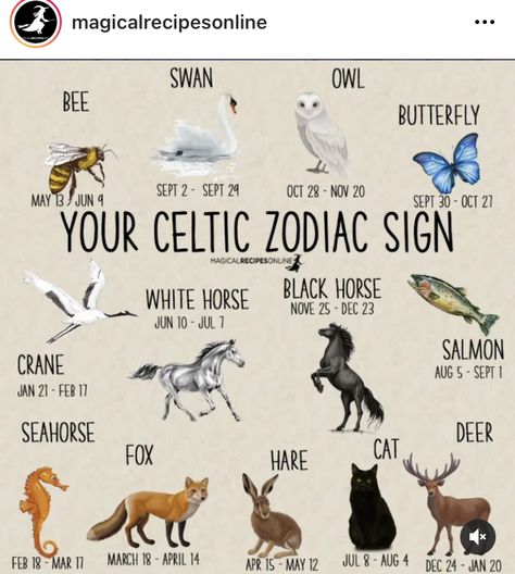 Celtic Zodiac Signs, Celtic Tree Astrology, Celtic Zodiac, Animal Meanings, Different Animals, Animal Spirit Guides, Witch Spirituality, Celtic Astrology, Animal Symbolism