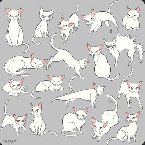 White Cat Reference, Cat Drawing Poses, Cat Reference Poses, How To Draw A Cat Step By Step, Cat Poses Drawing, Morgana And Oz, Cat Hand Drawing, Cat Drawing Tutorial, Cats Art Drawing