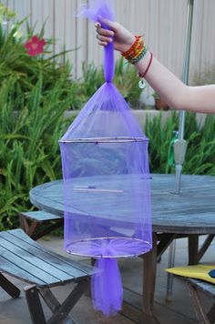 The only memory of my 1st grade year was watching caterpillars turn into butterflies through metamorphism. My teacher had this net enclosure... Butterfly Enclosure, Butterfly Hatching, Monarch Butterfly Habitat, Workbench Diy, Butterfly Cage, Raising Butterflies, Butterfly Feeders, Monarch Butterfly Garden, Butterfly Habitat