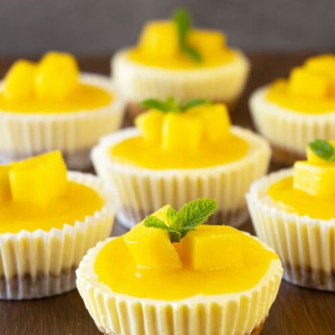 Mini Cheesecake Recipes, Mango Cheesecake, Mango Lassi, Baked Cheesecake Recipe, Dessert Aux Fruits, Digestive Biscuits, Small Desserts, Mini Cheesecakes, Chocolate Cheesecake