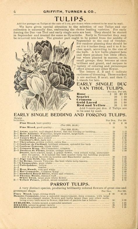 Autumn Posters, Vintage Tulips, Corporate Greed, طابع بريدي, Vintage Newspaper, Picture Collage Wall, Print Ideas, Vintage Poster Art, Art Collage Wall