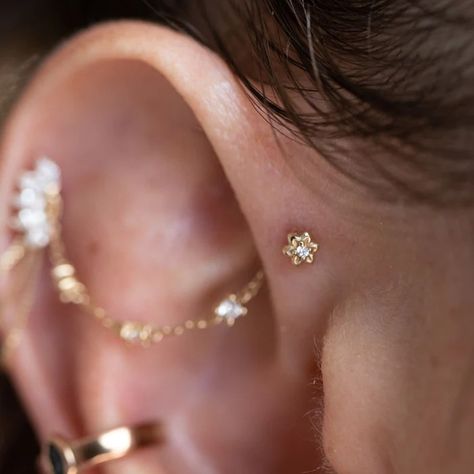 Shop The Curated Lobe Bestsellers Jewelry Ear Piercing Forward Helix Single, Double Forward Helix Piercing, Forward Helix Jewelry, Hot Earrings, Tiny Heart Earrings, Forward Helix Earrings, Helix Piercing Jewelry, Ear Piercings Helix, Piercing Inspo