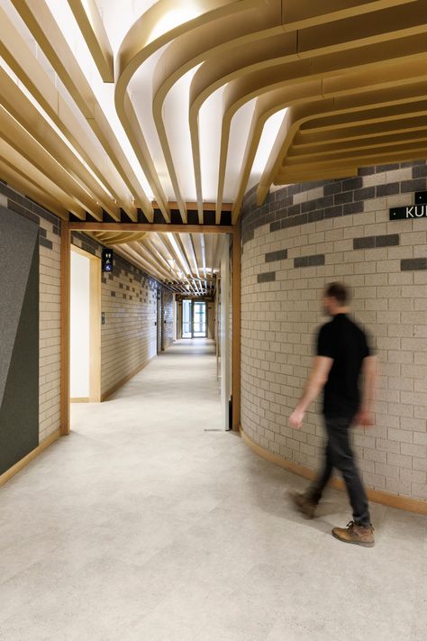 The Flemington Hub located in Debney’s Park, Australia showcases SAS International’s SAS500 system. Combining curved and straight acoustic baffles in a Golden Pearl finish to create a visually striking metal ceilings solution. The SAS500 system follows the natural curves of the interior layout, creating a seamless wayfinding solution that adds an element of curiosity to the space whilst enhancing acoustic performance. #metalceilings #architecture #bespoke #design #baffle Ceiling Wayfinding, Metal Ceilings, Baffle Ceiling, Acoustic Baffles, Interior Layout, Ceiling System, Golden Pearl, Indirect Lighting, Metal Ceiling