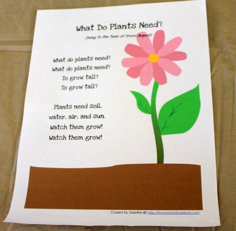 "What Do Plants Need?" Song (Frere Jacques tune) Plant Songs Preschool, What Do Plants Need To Grow Preschool, Grow A Plant Song, How Plants Grow Preschool, What Do Plants Need To Grow Kindergarten, Tiny Seed Activities, Plant Song, Flower Song, Plants Kindergarten