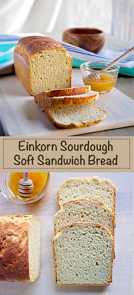 Einkorn Sourdough Sandwich Bread | Beets & Bones Sourdough Bread Machine, Einkorn Sourdough, Einkorn Bread, Sourdough Sandwich Bread, Einkorn Recipes, Sourdough Bread Sandwiches, Einkorn Flour, Sourdough Sandwich, Wheat Recipes