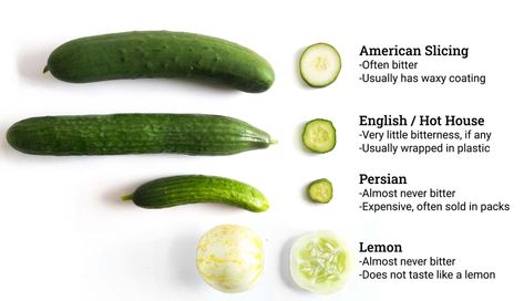 Why are cucumbers bitter & how to fix it Bitter Cucumbers, Cucumber Varieties, Growing Vegetables In Pots, Cucumber Canning, Cucumber Yogurt, Persian Cucumber, Tzatziki Sauce, Veggie Tray, Healthy Lifestyle Food