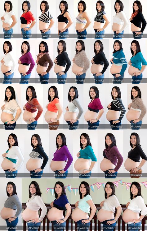 Week by WeekBelly Progression Bump Progression, Baby Bump Progression, Baby Weeks, Pregnancy Timeline, Pregnancy Tracker, Healthy Pregnancy Tips, Pregnancy Progression, Pregnancy Bump, Baby Stage