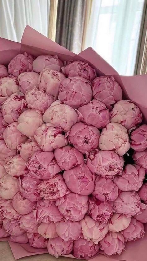 Flores Wallpaper, Flowers Peonies, Peonies And Hydrangeas, Boquette Flowers, Nothing But Flowers, Flowers Bouquet Gift, Flower Therapy, Peonies Bouquet, No Rain