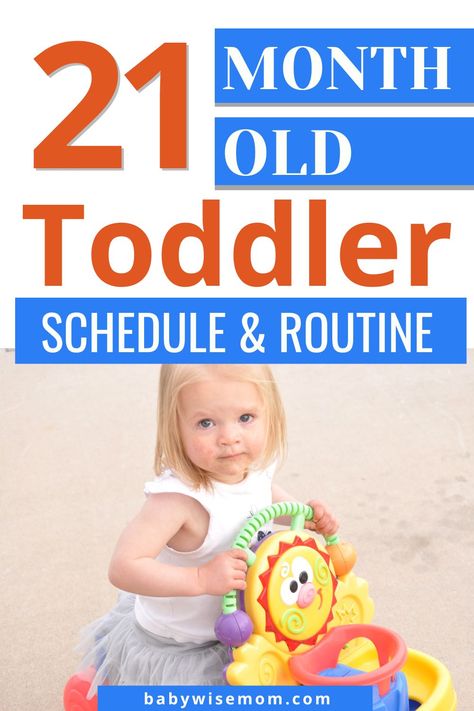 21 month old toddler schedule and routine. Toddler schedule for 20.5-21 months old – get a toddler routine and learn about daily life. Learn about toddler teething and how it affects sleep, playtime, and tantrums. 22 Month Old Schedule, 21 Month Old Schedule, 20 Month Old Schedule, 20 Month Old Activities, Toddler Teething, Toddler Sleep Schedule, Potty Training Help, Teething Toddler, Toddler Routine