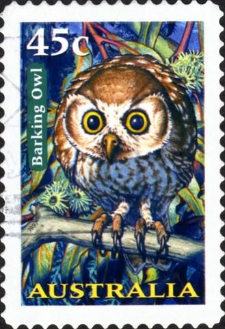 World Bird Stamps of a feather - come flock together! - Page 8 - Postage Stamp Chat Board & Stamp Forum Animals, Australia, Chat Board, Nocturnal Animals, Australian Birds, Postage Stamp, Etsy Australia, Birds, Stamp