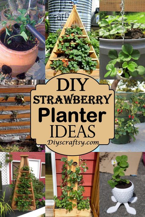 31 DIY Strawberry Planter Ideas For Container Planting - DIYS Craftsy Garden Projects Diy Cool Ideas Pots & Planters, Hanging Strawberry Planter Ideas Diy, Strawberry Pyramid Planter Diy, Hanging Strawberries Planter Ideas, Pallet Strawberry Planter Diy, Strawberries Planter Ideas, Strawberry Diy Planter, Strawberry Pots Ideas, Strawberry Plant Ideas