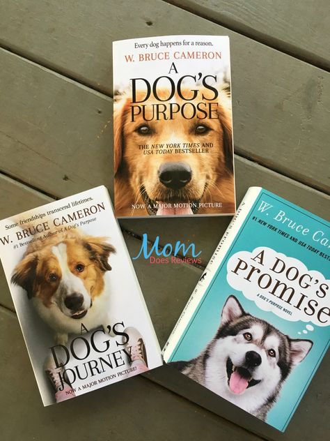 W. Bruce Cameron captivates older kids and adults with his A Dog's Promise, from A Dog's Purpose series.  Plus there are also great Puppy Tales books A Dogs Purpose Book, A Dog's Purpose, A Dog's Journey, A Dogs Purpose, Pitbull Puppy, Mystery Boxes, Lucky Dog, Dog Books, Book Community