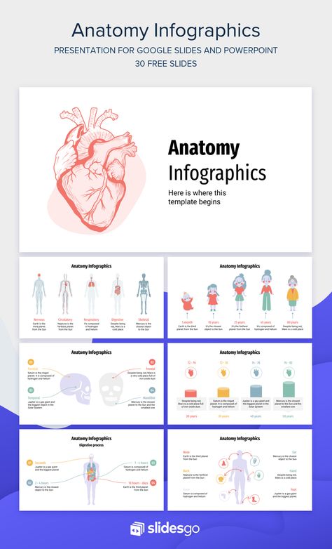 Anatomy Presentation Ideas, Anatomy Presentation, Medical Powerpoint Templates, Anatomy Medical, Case Presentation, Presentation Slides Design, Powerpoint Slide Designs, Slides Design, Fotografi Digital