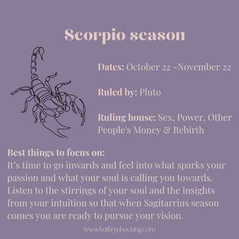 Scorpio Season - Time to go deep & find your passion November Scorpio Aesthetic, Scorpio Season Dates, Scorpio Season Aesthetic, Scorpio Season Quotes, November Magick, Scorpio Szn, Zodiac Mind Scorpio, Zodiac Aesthetic, Scorpio Astrology