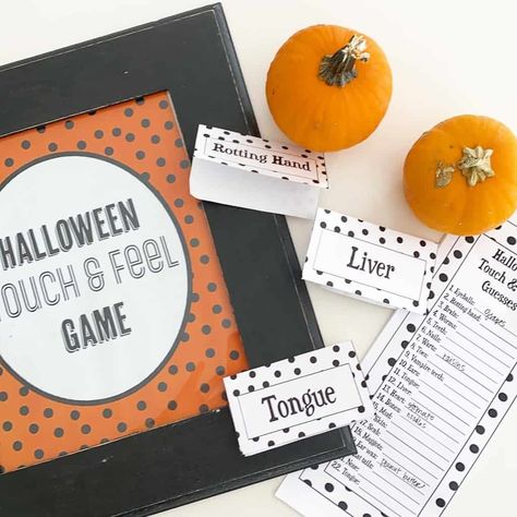 Spooky Food Guessing Game, Guess The Food Halloween Game, Halloween Food Guessing Game, Halloween Mystery Box Game, Mystery Halloween Touch And Feel Game, Mystery Box Halloween Game, Halloween Mystery Bags, What’s In The Box Game, Halloween Guess Whats In The Box Game