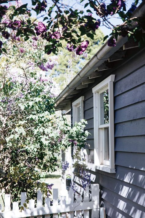 Colourful weatherboard cottage in the Southern Highlands Weatherboard Cottage, Dream Homestead, White French Doors, Street Appeal, Cottage Vibes, House Flowers, Tree Garden, Cottage Exterior, Country Stuff