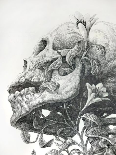 Vines and Flowers Intertwine with an Imposing Skeleton in an Elegant Graphite Drawing by Guno Park | Colossal Skull With Flowers, Skeleton Drawings, Skeleton Art, Desenho Tattoo, Skull Drawing, Human Skull, Graphite Drawings, A Level Art, A Pencil