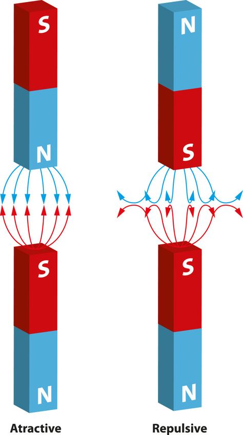 Magnetic Poles  #Education #Poles #Magnets #Kids Weird Science Facts, Science Experiments Kids Elementary, Electrical Engineering Books, Science Chart, Element Chemistry, Science Electricity, Chemistry Art, Physics Lessons, How The Universe Works