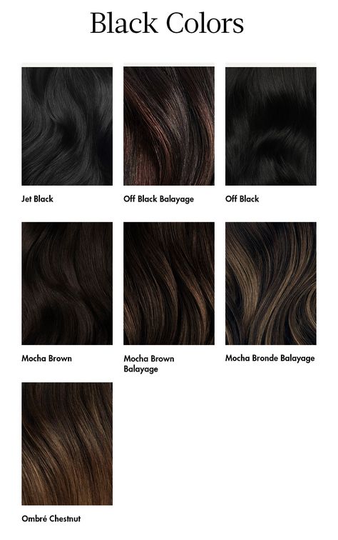 Black Hair Color Chart, Shades Of Black Hair, Soft Black Hair Color, Jet Black Hair Color, Soft Black Hair, Espresso Hair Color, Hair Color Guide, Mocha Hair, Black Hair Balayage