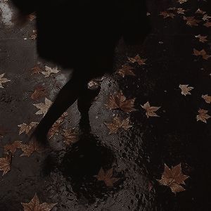 aesthetic. brown. bitter academia. dark academia. leaves. Lorenzo Quinn, Witchy Academia, Chaotic Academia, Aesthetic Brown, State Of Grace, Dark Autumn, Witch Academia, Brasov, Season Of The Witch