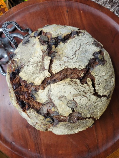 No-knead Dutch Oven Bread w/ Cocoa Powder & Chocolate Chips Chocolate Chip Dutch Oven Bread, Cocoa Powder Chocolate, Chocolate Chip Bread Recipe, Chocolate Milk Powder, Chocolate Bread Recipe, Oven Bread, Dutch Oven Bread, Knead Bread Recipe, Chocolate Chip Bread